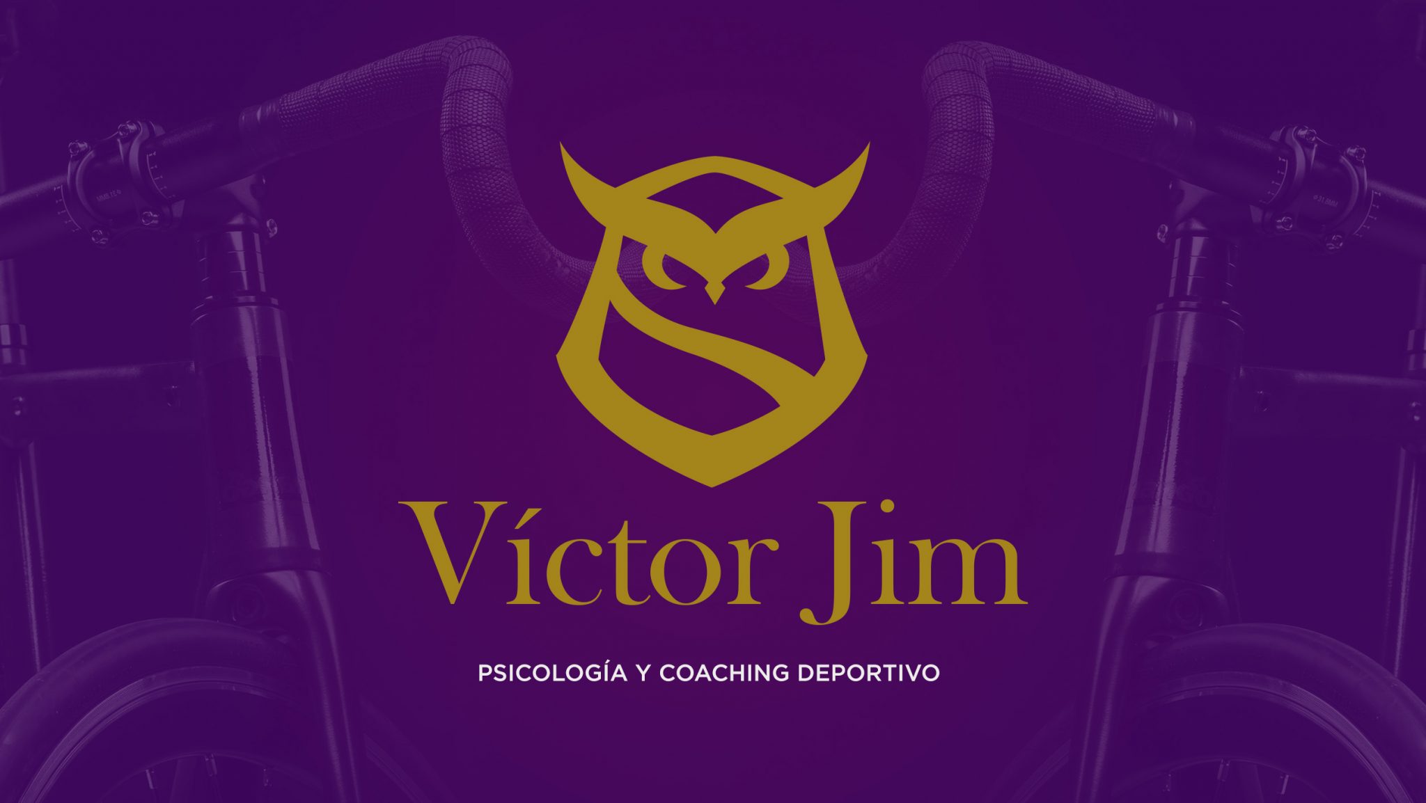 VictorJim Logo